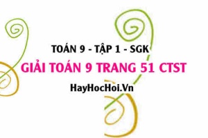 Giải Toán 9 trang 51 tập 1 Chân trời sáng tạo SGK